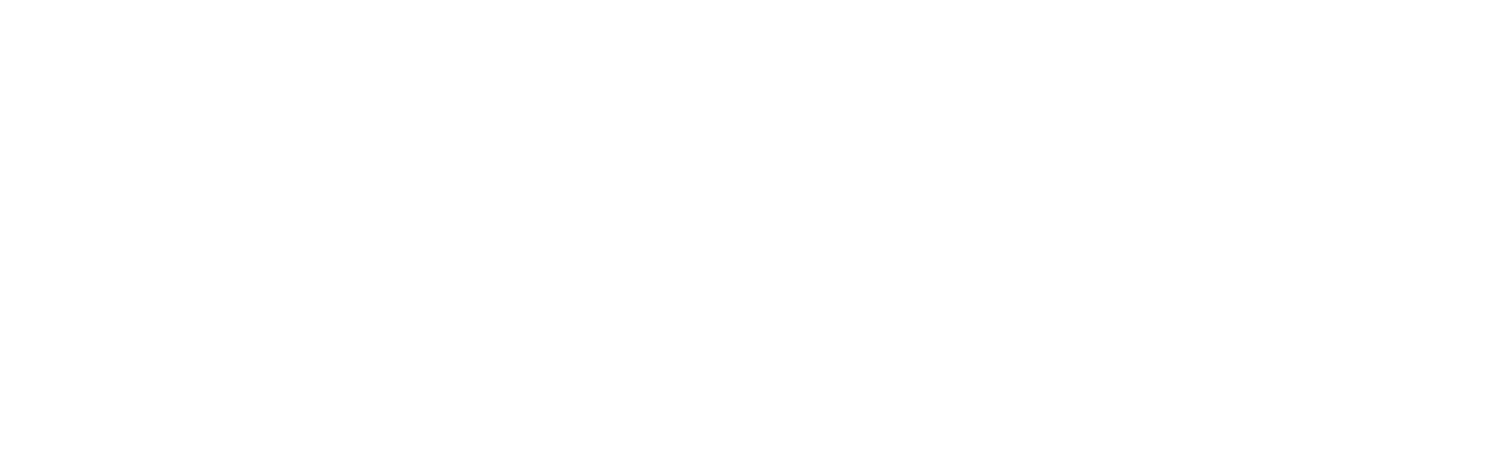 Pfaff-Motorsports-KO